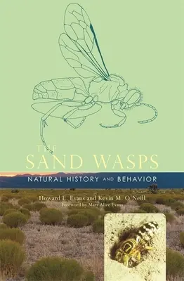 Sandwespen: Naturgeschichte und Verhalten - Sand Wasps: Natural History and Behavior