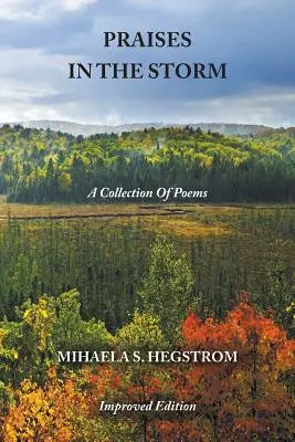 Lobpreis im Sturm - Praises in the Storm