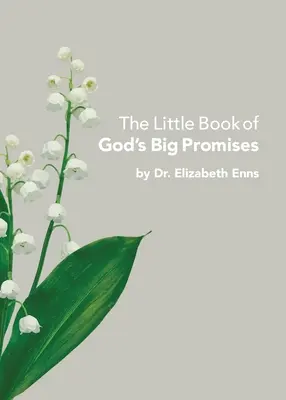 Das kleine Buch der großen Verheißungen Gottes - The Little Book of God's Big Promises