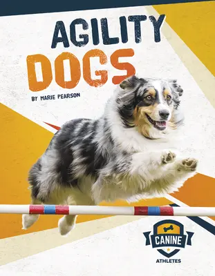 Agility-Hunde - Agility Dogs