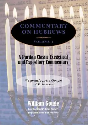 Kommentar zum Hebräerbrief: Exegetisch und biblisch - Band 1 (PB) - Commentary on Hebrews: Exegetical & Expository - Vol. 1 (PB)