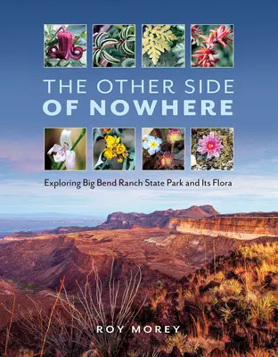 Die andere Seite von Nirgendwo: Die Erkundung des Big Bend Ranch State Park und seiner Flora - The Other Side of Nowhere: Exploring Big Bend Ranch State Park and Its Flora