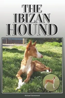 Der Ibizenkische Jagdhund: Ein kompletter und umfassender Leitfaden für den Besitzer: Kauf, Besitz, Gesundheit, Pflege, Training, Gehorsam, Verstehen und - The Ibizan Hound: A Complete and Comprehensive Owners Guide To: Buying, Owning, Health, Grooming, Training, Obedience, Understanding and