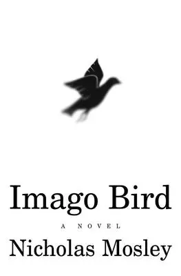 Imago Vogel - Imago Bird