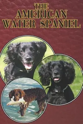 Der American Water Spaniel: Ein kompletter und umfassender Leitfaden für Einsteiger: Kaufen, Besitzen, Gesundheit, Pflege, Training, Gehorsam, Verstehen - The American Water Spaniel: A Complete and Comprehensive Beginners Guide To: Buying, Owning, Health, Grooming, Training, Obedience, Understanding