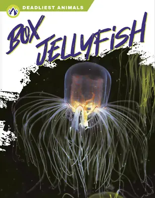 Ohrenqualle - Box Jellyfish