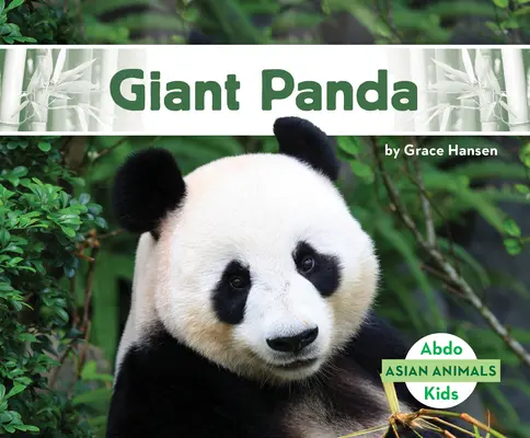Riesiger Panda - Giant Panda