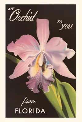 Jahrgangsjournal Eine Orchidee aus Florida - Vintage Journal An Orchid from Florida