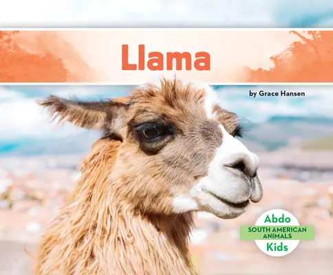 Lama - Llama