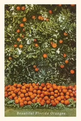 Weinleseblatt Orangen, Florida - Vintage Journal Oranges, Florida