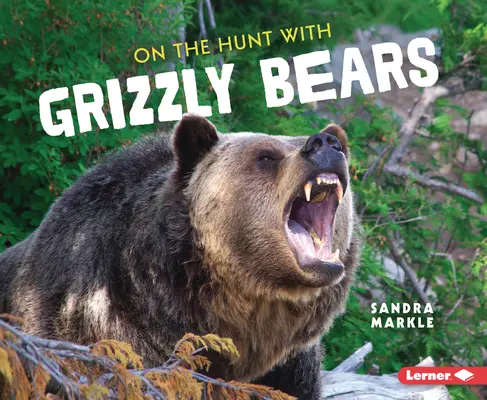 Auf der Jagd mit Grizzlybären - On the Hunt with Grizzly Bears