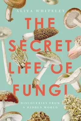 Das geheime Leben der Pilze: Entdeckungen aus einer verborgenen Welt - The Secret Life of Fungi: Discoveries from a Hidden World