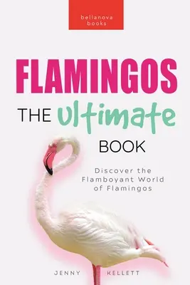 Flamingos: Das ultimative Buch: Entdecke die schillernde Welt der Flamingos - Flamingos: The Ultimate Book: Discover the Flamboyant World of Flamingos