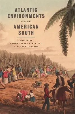Atlantische Umgebungen und der amerikanische Süden - Atlantic Environments and the American South