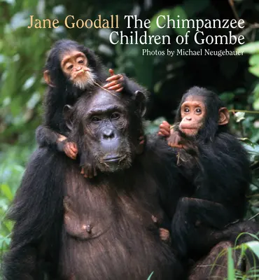 Schimpansenkinder von Gombe - Chimpanzee Children of Gombe