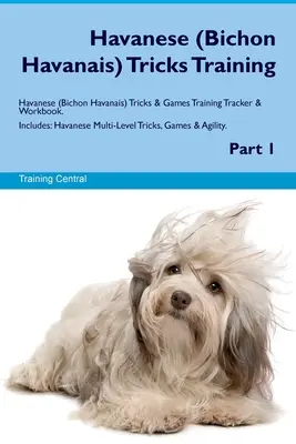 Havaneser (Bichon Havaneser) Tricks Training Havaneser Tricks & Spiele Trainingstracker & Arbeitsbuch. Enthält: Havaneser Tricks, Spiele und Agilität auf mehreren Ebenen - Havanese (Bichon Havanais) Tricks Training Havanese Tricks & Games Training Tracker & Workbook. Includes: Havanese Multi-Level Tricks, Games & Agility