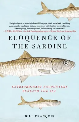 Die Eloquenz der Sardine: Außergewöhnliche Begegnungen unter dem Meer - Eloquence of the Sardine: Extraordinary Encounters Beneath the Sea