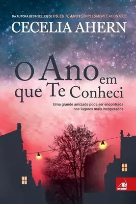 O Ano em que te Conheci