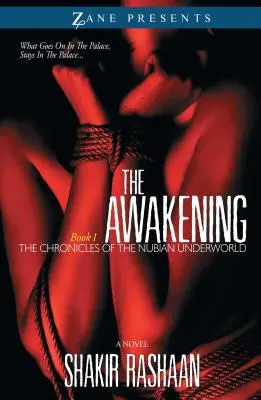 Das Erwachen: Buch Eins der Chroniken der nubischen Unterwelt - Awakening: Book One of the Chronicles of the Nubian Underworld