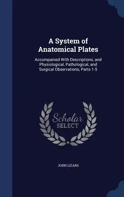 Ein System von anatomischen Tafeln: Begleitet von Beschreibungen und physiologischen, pathologischen und chirurgischen Beobachtungen, Teile 1-5 - A System of Anatomical Plates: Accompanied With Descriptions, and Physiological, Pathological, and Surgical Observations, Parts 1-5