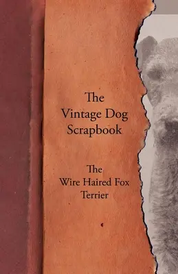 The Vintage Dog Scrapbook - Der Drahthaar-Foxterrier - The Vintage Dog Scrapbook - The Wire Haired Fox Terrier