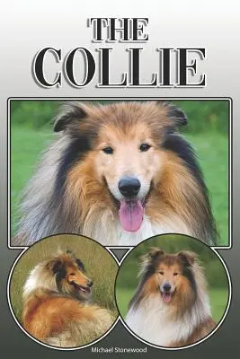 Der Collie: Ein kompletter und umfassender Leitfaden für Besitzer: Kaufen, Besitzen, Gesundheit, Pflege, Training, Gehorsam, Verstehen und - The Collie: A Complete and Comprehensive Owners Guide To: Buying, Owning, Health, Grooming, Training, Obedience, Understanding and