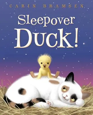 Übernachtende Ente! - Sleepover Duck!