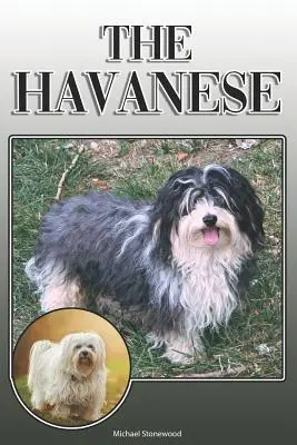 Der Havaneser: Ein vollständiger und umfassender Leitfaden für Besitzer: Kaufen, Besitzen, Gesundheit, Pflege, Training, Gehorsam, Verstehen und - The Havanese: A Complete and Comprehensive Owners Guide To: Buying, Owning, Health, Grooming, Training, Obedience, Understanding and