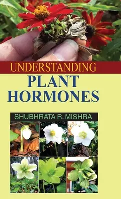 Pflanzenhormone verstehen - Understanding Plant Hormones