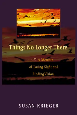 Dinge, die nicht mehr da sind: Eine Erinnerung an den Verlust des Augenlichts und das Finden der Vision - Things No Longer There: A Memoir of Losing Sight and Finding Vision