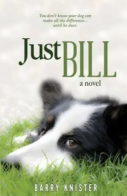 Nur Bill - Just Bill