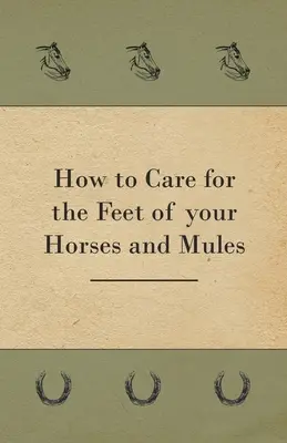 Wie man die Füße von Pferden und Maultieren pflegt - How to Care for the Feet of your Horses and Mules