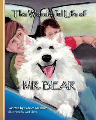 Das wunderbare Leben des Herrn Bär - The Wonderful Life of Mr. Bear