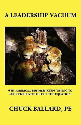 Ein Führungsvakuum - A Leadership Vacuum