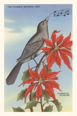 Oldtimer-Journal Florida Spottdrossel, Weihnachtssterne - Vintage Journal Florida Mockingbird, Poinsettias