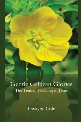 Sanfte galiläische Herrlichkeit: Die zärtlichen Lehren von Jesus - Gentle Galilean Glories: The Tender Teachings of Jesus