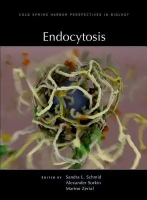 Endozytose - Endocytosis