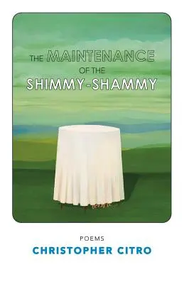 Die Wartung des ShimmyShammy - The Maintenance of the ShimmyShammy