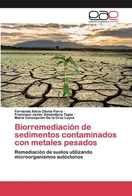 Bioremedizinische Behandlung von mit Metallen kontaminierten Sedimenten - Biorremediacin de sedimentos contaminados con metales pesados