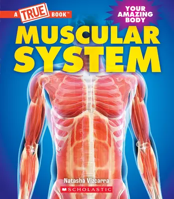 Muskelsystem (ein wahres Buch: Dein erstaunlicher Körper) - Muscular System (a True Book: Your Amazing Body)