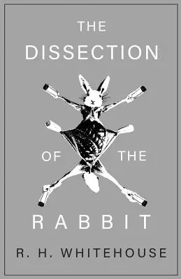 Die Sezierung des Kaninchens - The Dissection of the Rabbit