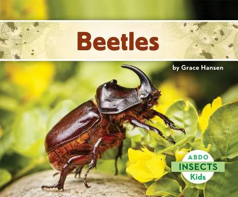 Käfer - Beetles