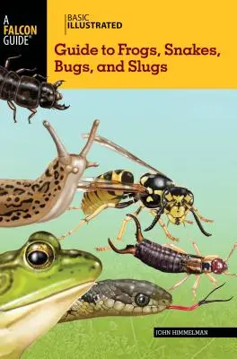 Grundlegendes illustriertes Handbuch für Frösche, Schlangen, Käfer und Schnecken - Basic Illustrated Guide to Frogs, Snakes, Bugs, and Slugs