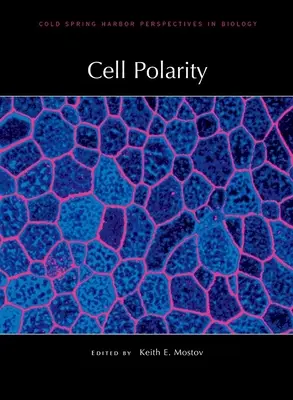 Zellpolarität - Cell Polarity