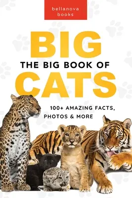 Das große Buch der Großkatzen: 100+ erstaunliche Fakten über Löwen, Tiger, Leoparden, Schneeleoparden und Jaguare - The Big Book of Big Cats: 100+ Amazing Facts About Lions, Tigers, Leopards, Snow Leopards & Jaguars