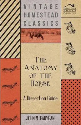 Die Anatomie des Pferdes - Eine Anleitung zum Sezieren - The Anatomy of the Horse - A Dissection Guide