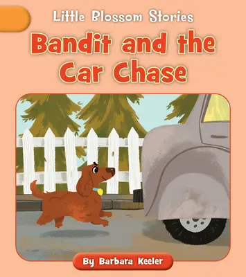 Bandit und die Verfolgungsjagd - Bandit and the Car Chase