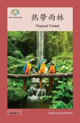 热带雨林: Tropischer Wald - 热带雨林: Tropical Forest