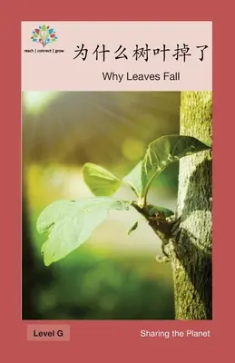 为什么树叶掉了: Warum die Blätter fallen - 为什么树叶掉了: Why Leaves Fall