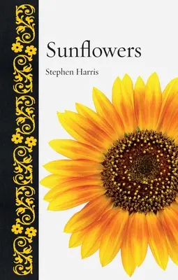 Sonnenblumen - Sunflowers